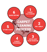  Carpet Cleaning Collaroy in Collaroy NSW
