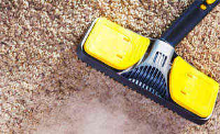  Carpet Cleaning Bardon in Bardon QLD