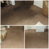 Carpet Cleaning Albany Creek in Albany Creek QLD