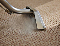  Carpet Cleaning Watson in Watson ACT