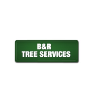  B and R Tree Services in Eatons Hill QLD