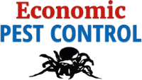  Economic Pest Control in Yarrawonga VIC