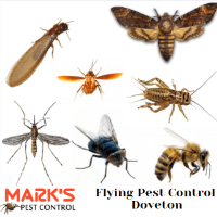  Marks Pest Control Doveton in Doveton VIC