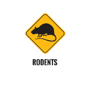  Rodent Control Perth in Perth WA