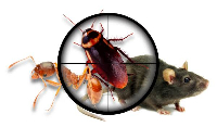  Pest Control Gosnells in Gosnells WA