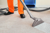 Carpet Cleaning  Newtown