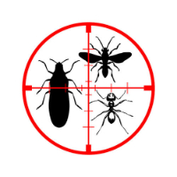  Pest Control Lidcombe in Lidcombe NSW