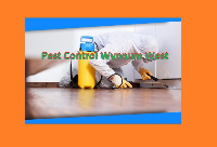  Pest Control Wynnum West in Wynnum West QLD