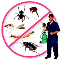  Pest Control Murrumba Downs in Murrumba Downs QLD