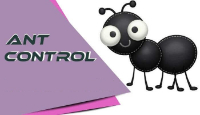  Ant Control Brisbane in Brisbane QLD