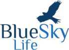  Blue Sky Life in Collaroy NSW