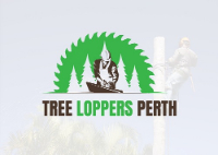  Tree Loppers Perth in Como WA