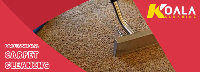  Carpet Cleaning Burton in Burton SA