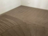  Carpet Cleaning Findon in Findon SA
