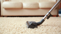 Carpet Cleanings Brisbane