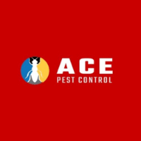  Pest Control Coorparoo in Coorparoo QLD