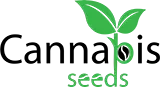  Cannabis Seeds in  WA