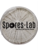  Spores Lab in Vernon BC