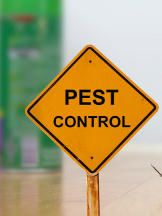 Pest Control Werribee