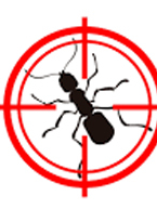  Pest Control Burnside in Burnside Heights VIC