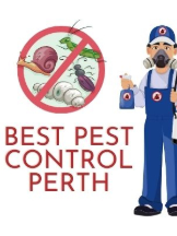  Best Pest Control Perth in Osborne Park WA