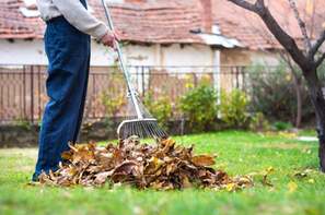 Boost Your Home's Curb Appeal with a Professional Yard Cleanup